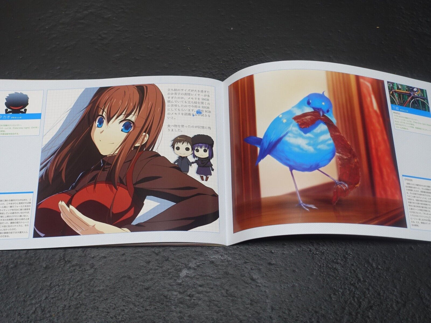 Witch on the Holy Night Official Setting Art & Illustration Book Set 