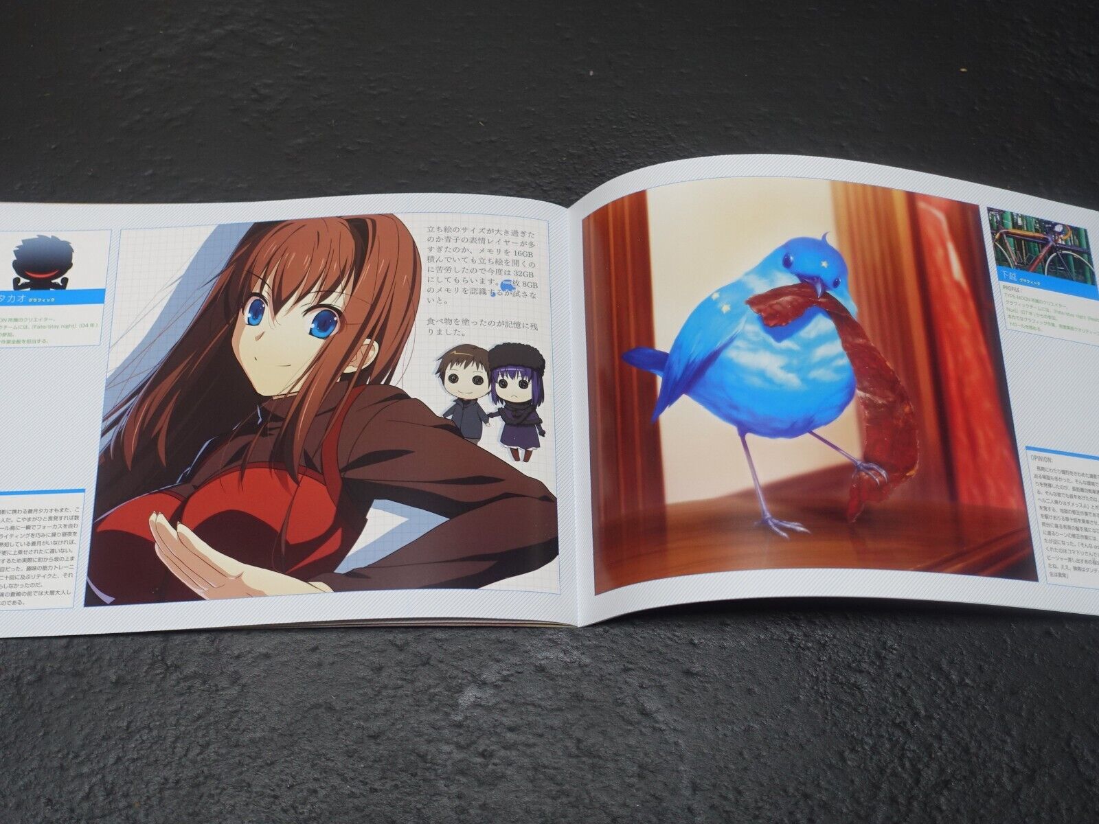 Witch on the Holy Night Official Setting Art & Illustration Book Set 