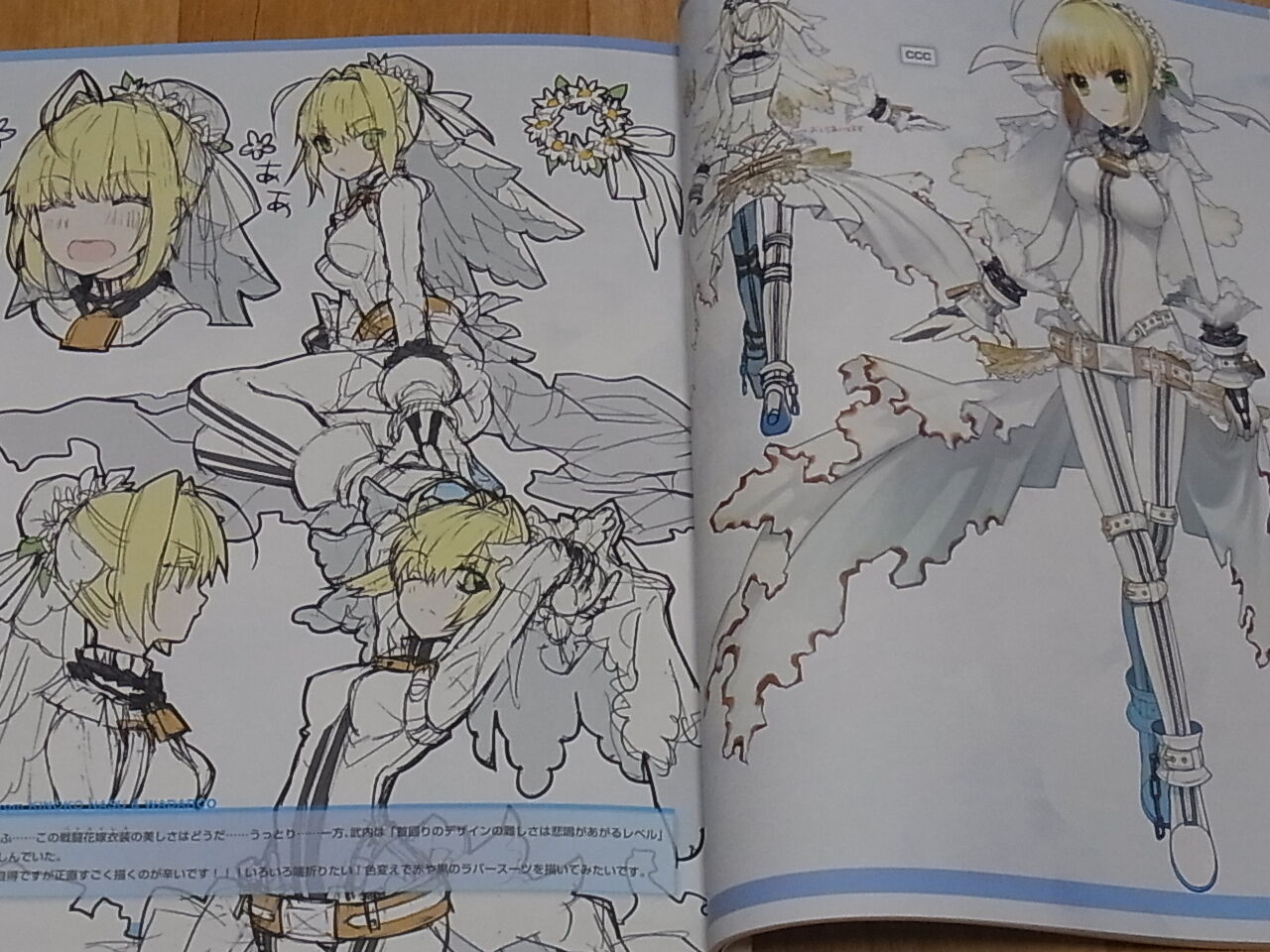 TYPE-MOON Fate EXTRA material Arco Wada 