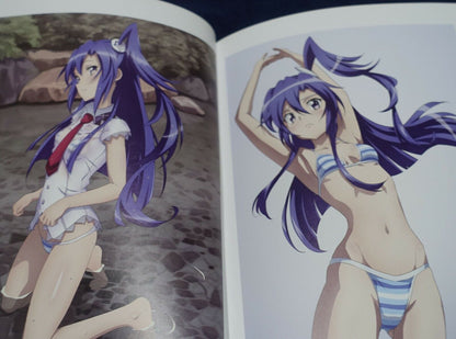Hanagara Shirt Symphogear Color Fan Art Book BIKINI X OUTSIDE & OUTSIDE G Set 