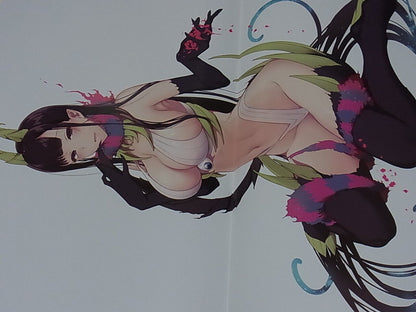 Pochi Iida Ane Naru Mono Poster Book with Clear File 