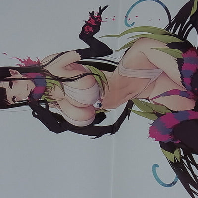 Pochi Iida Ane Naru Mono Poster Book with Clear File 