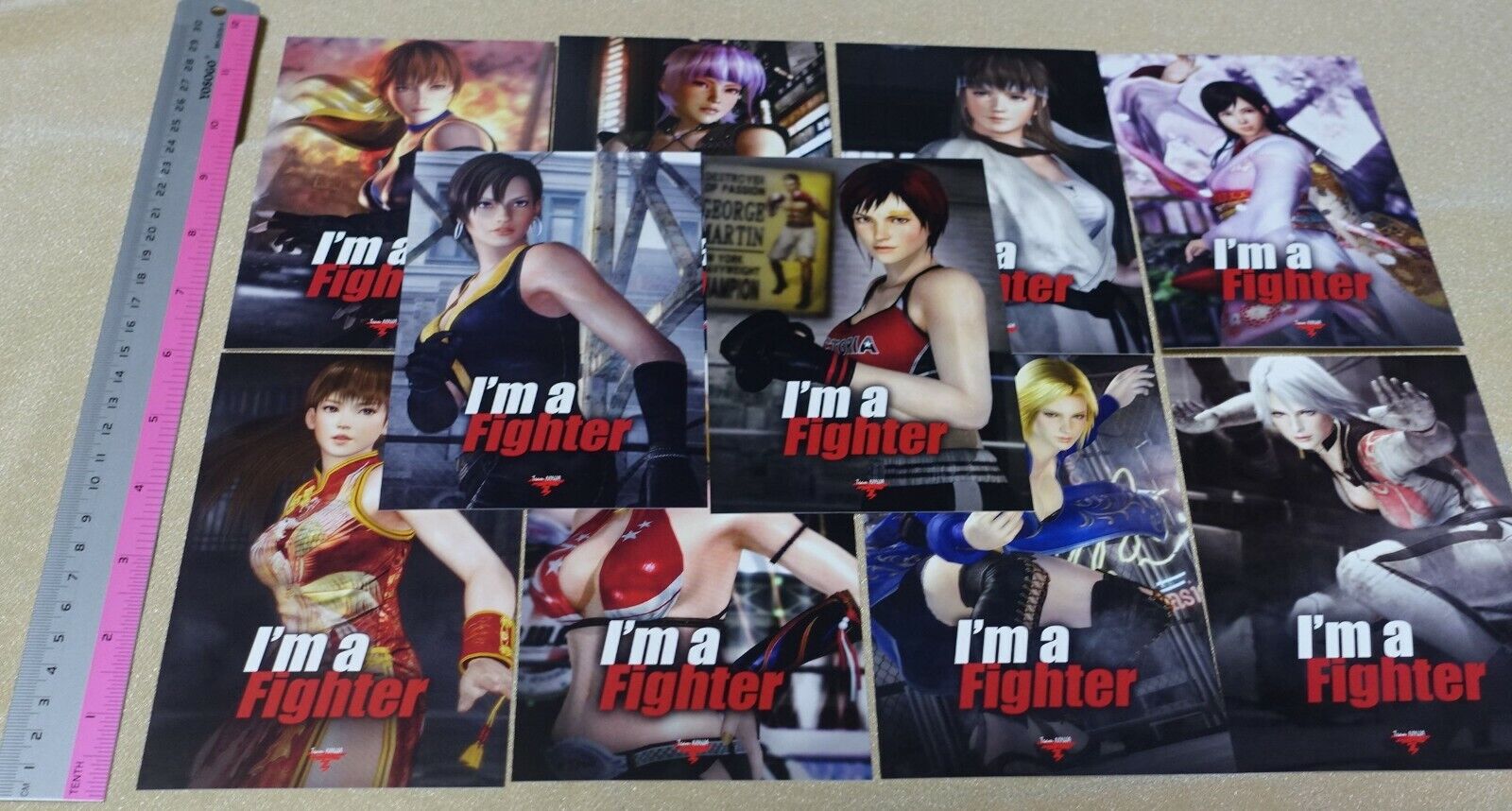 Dead or Alive 5 I'm a Fighter Illustration Post Card Set 10 pieces DOA 