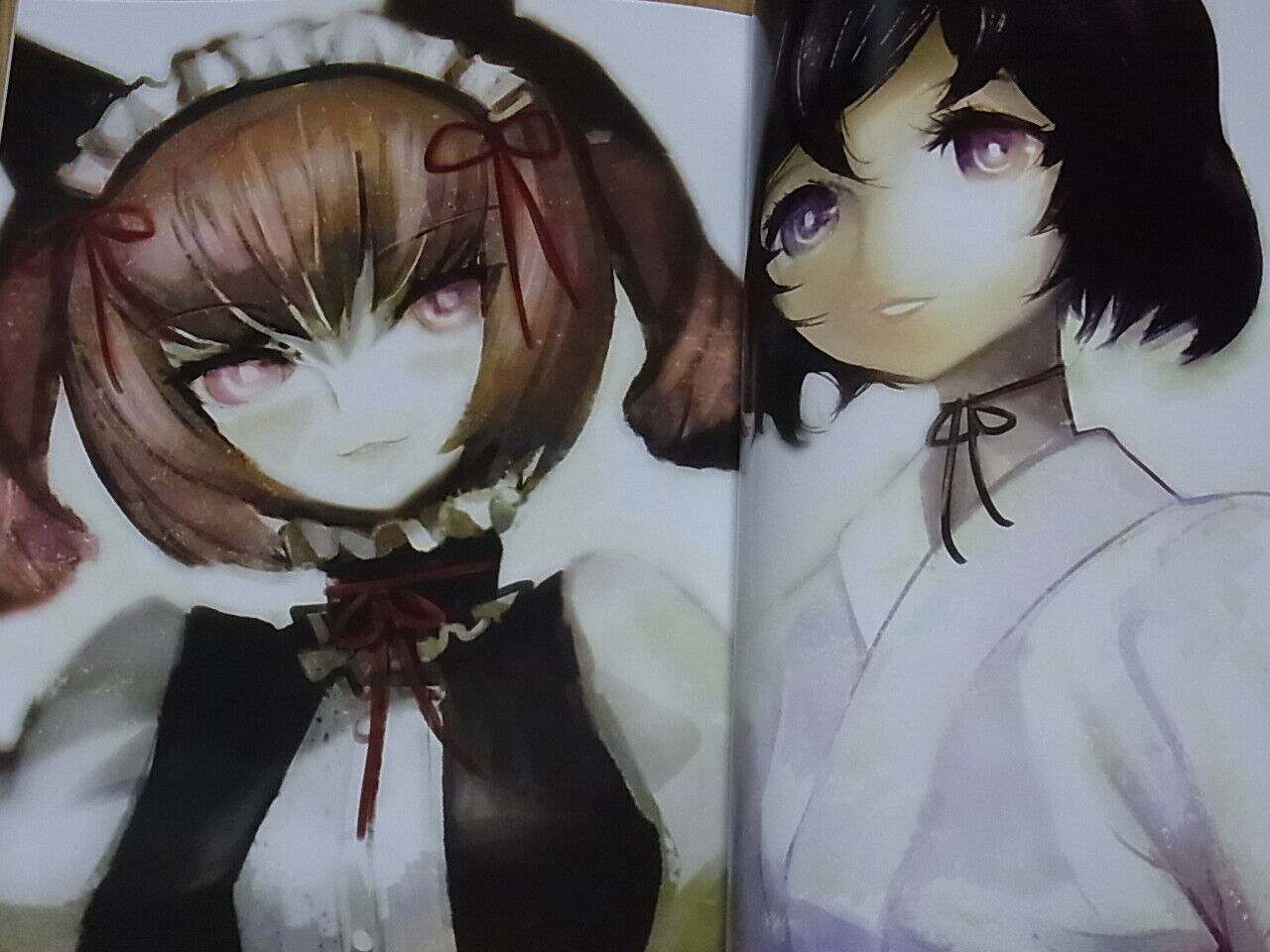 STEINS GATE ILLUSTRATIONS COLLECTION Art & Comic , Novel Huke etc 