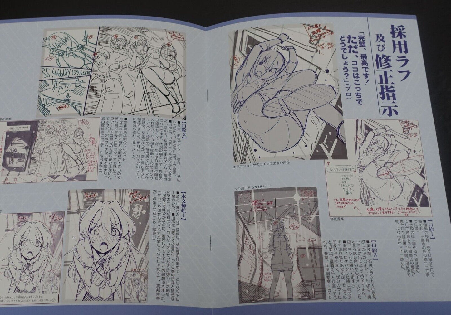 Vernier600 RAILlWARS! Rough Line Art Work Book 11 RAIL WARS 