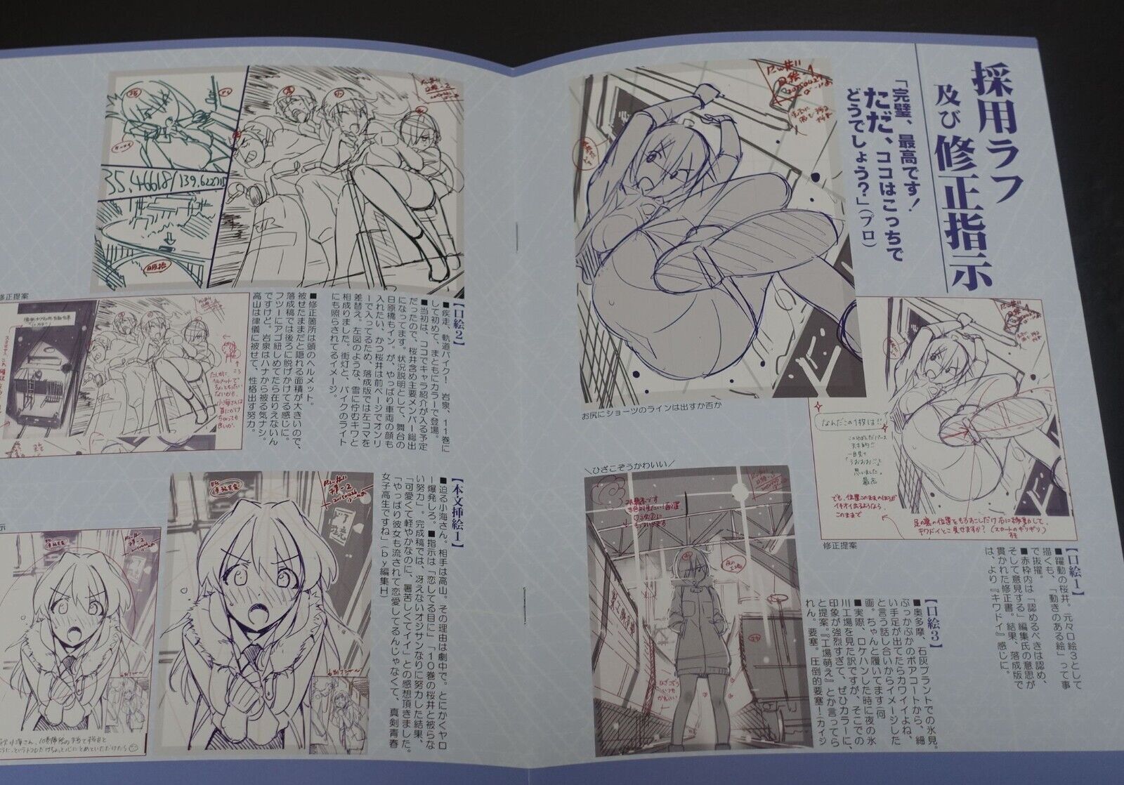 Vernier600 RAILlWARS! Rough Line Art Work Book 11 RAIL WARS 