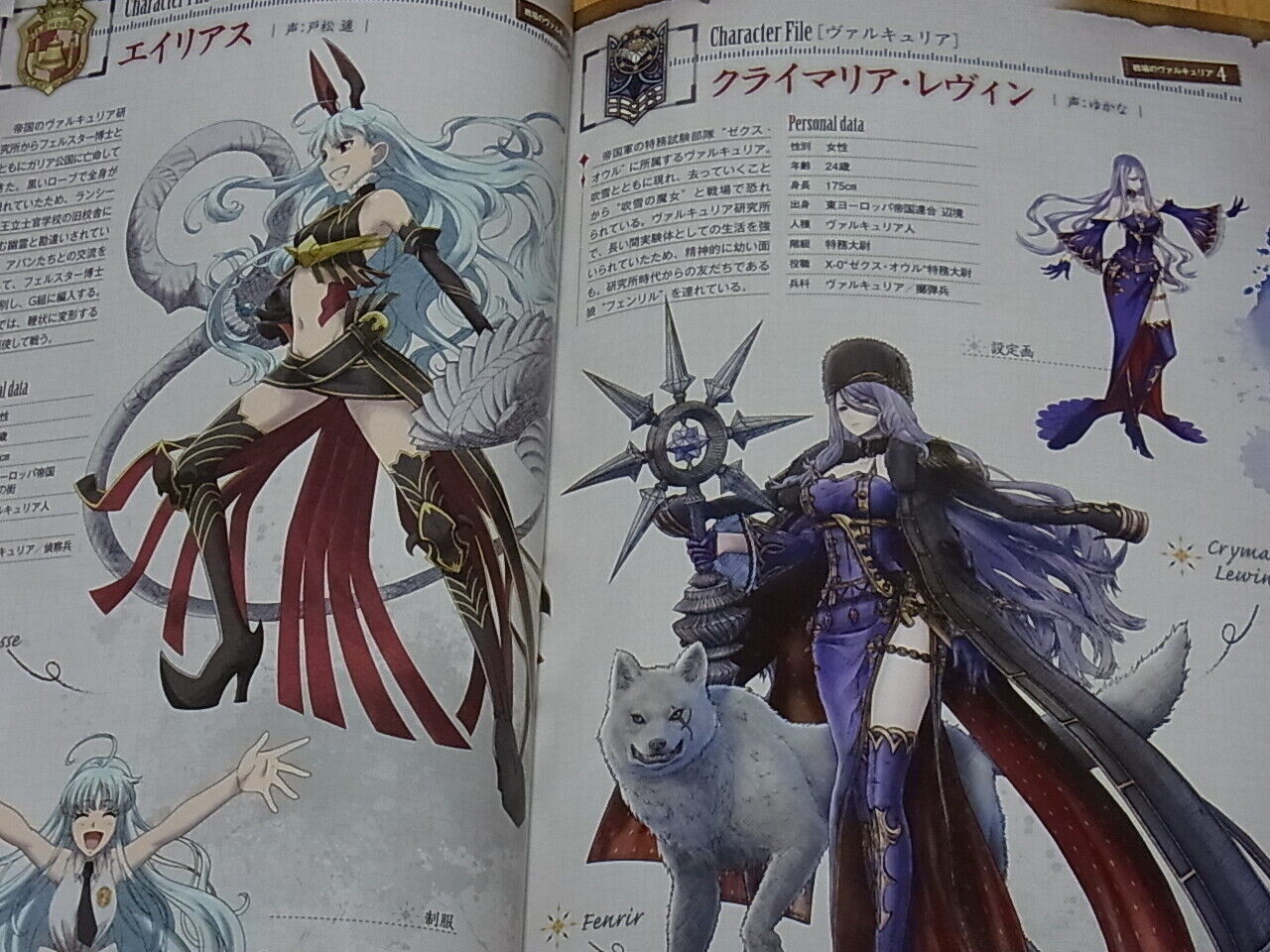 Valkyria Chronicles Senjou No Valkyria 10th Anniversary Illustration Art Book 
