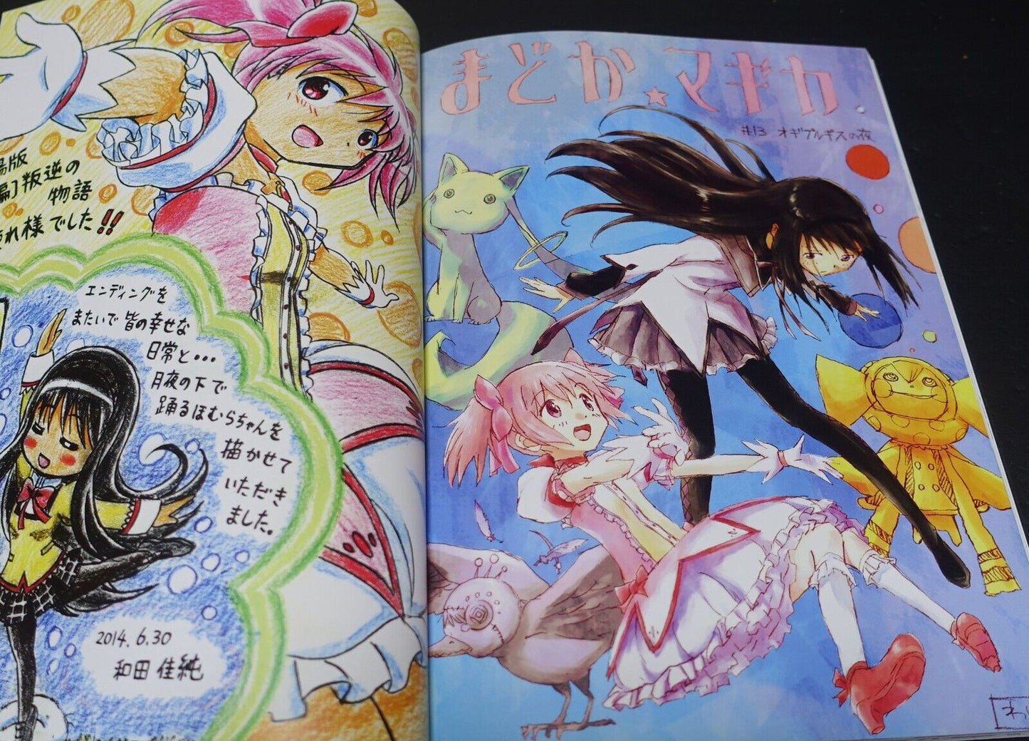 SHAFT PUELLA MAGI MADOKA MAGICA Animation Staff Illustration Art Book RAKUGAKI 