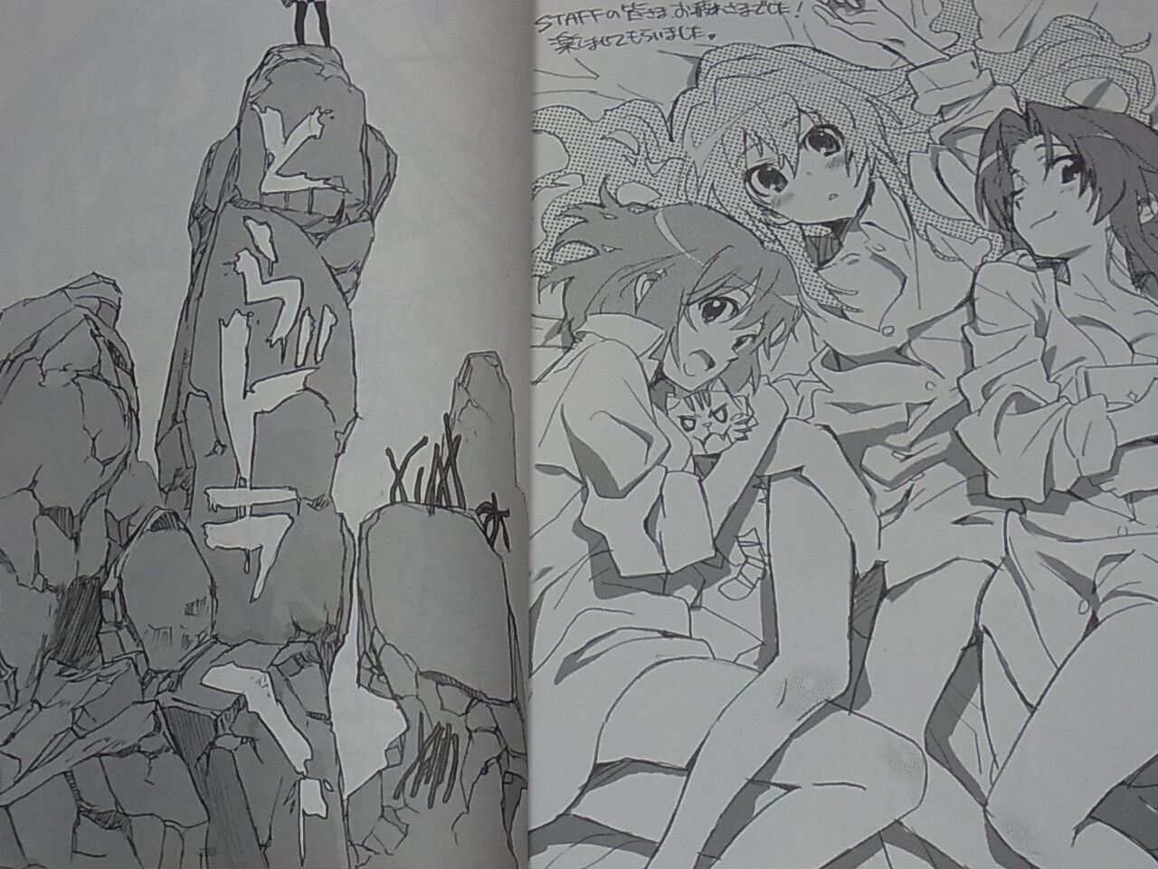 Toradora! Animation Staff Doujinshi Book Setting & Key Frame Art & Illustration 