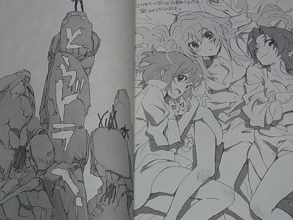 Toradora! Animation Staff Doujinshi Book Setting & Key Frame Art & Illustration 