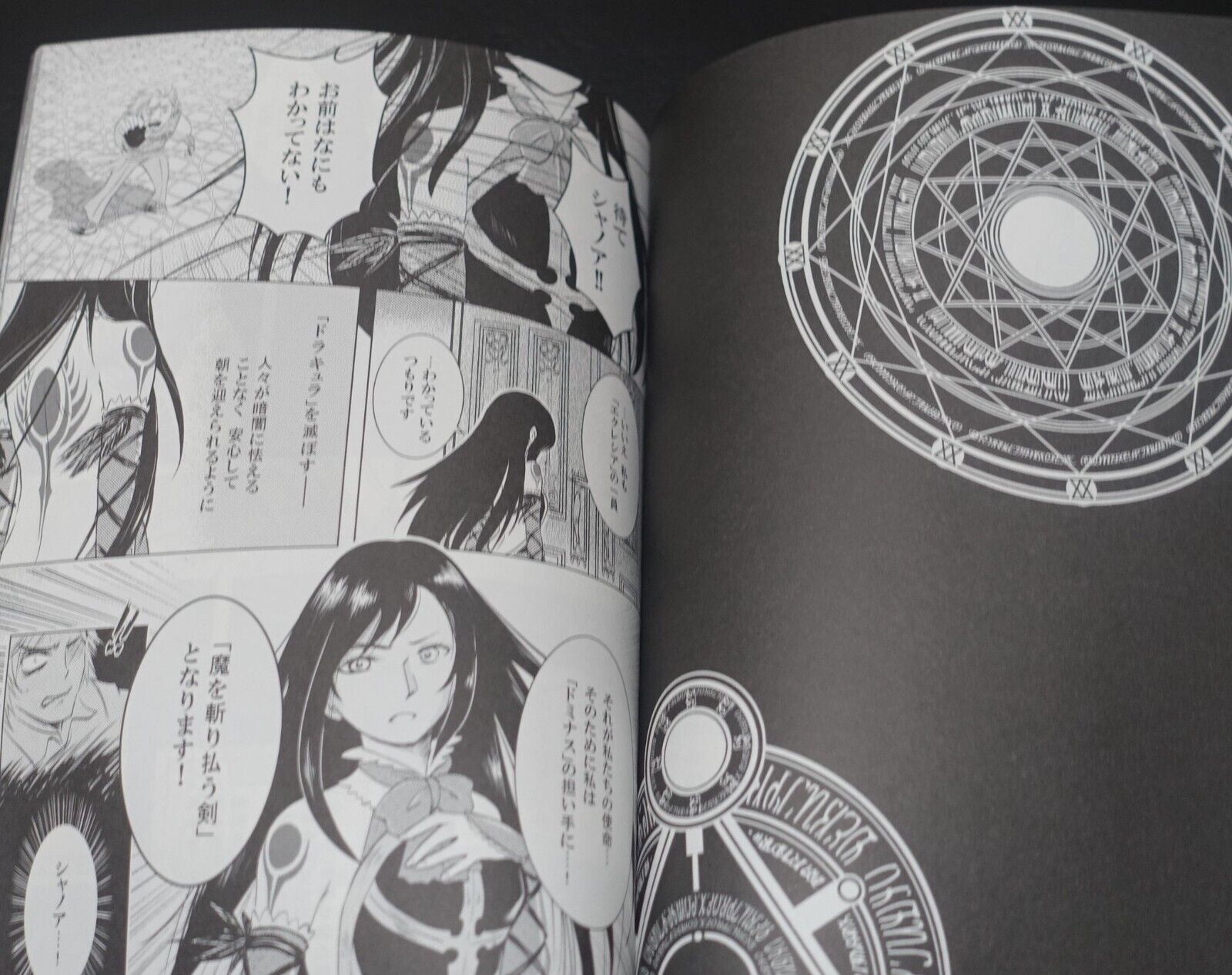 Dragon's Dormitory Akumajo Dracula Castlevania Order of Ecclesia Fan Made Comic 