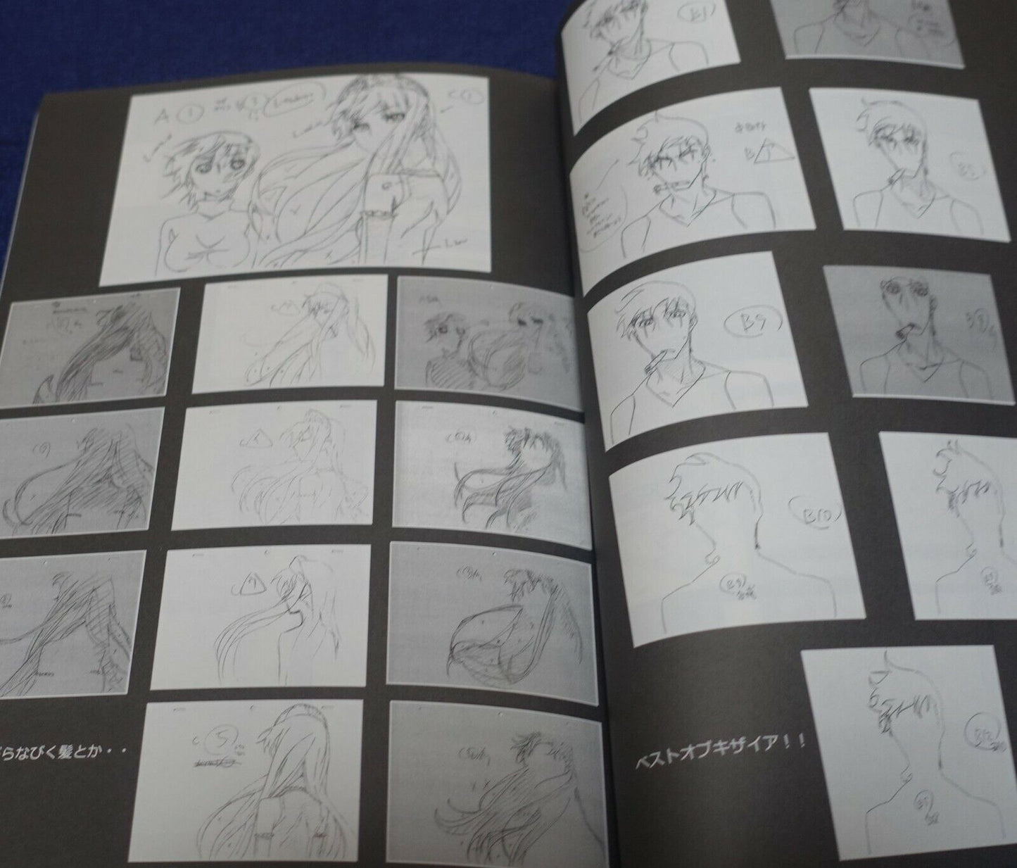Animation Princess Resurrection Key Frame & Staff Art Book vol.2 