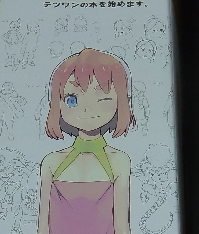 Ryo-chimo Tetsuwan Birdy Decode Illustration Art Book Tetsuwan book 