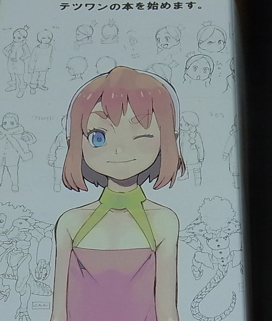 Ryo-chimo Tetsuwan Birdy Decode Illustration Art Book Tetsuwan book 