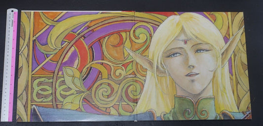 Record of Lodoss War LD Vol.6 Special Diedlit Design Art Board Case 