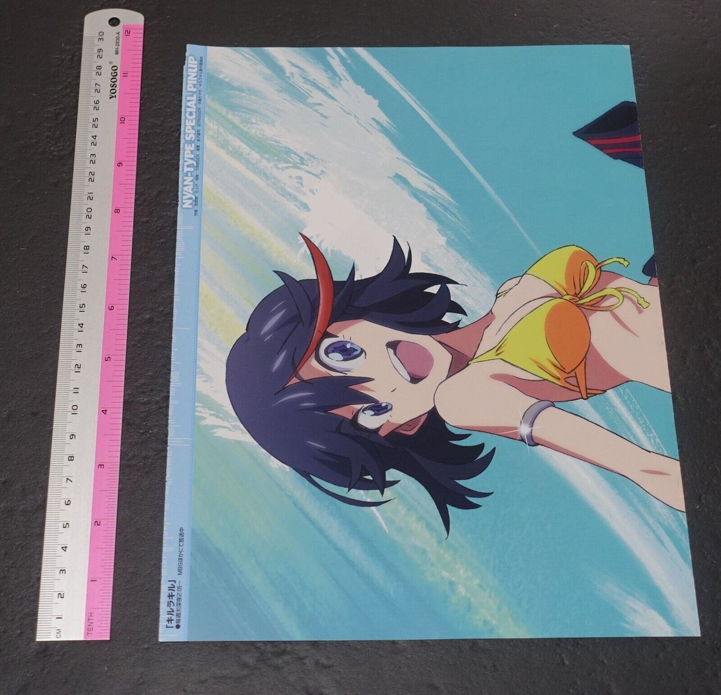 NYAN-Type Special Pinup Reversible Poster Kill La Kill , Freezing 