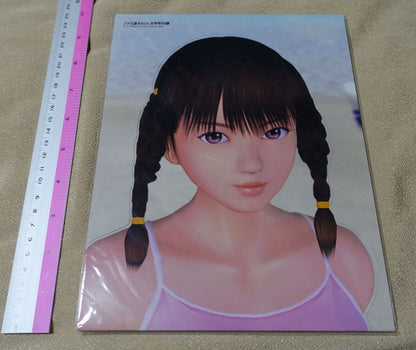 Dead or Alive Leifang Portrait Board 
