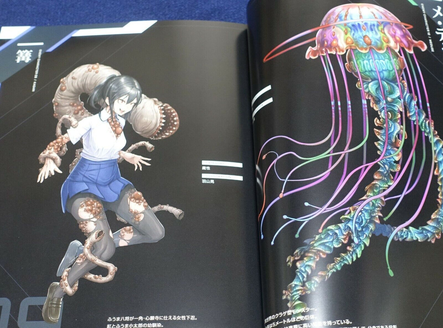 Lilith TAIMANIN RPGX CHARACTER VISUAL ART BOOK Vol.05 ASAGI 