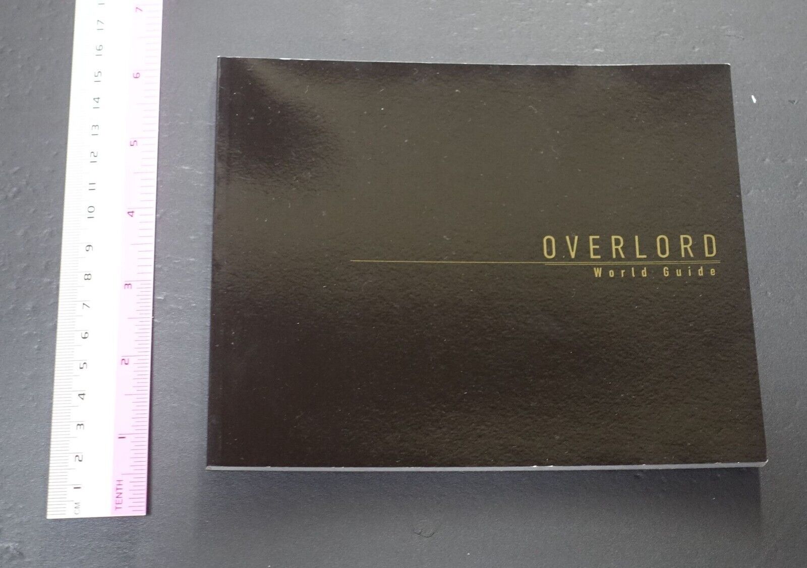 MAD HOUSE Animation Overlord World Guide Book 