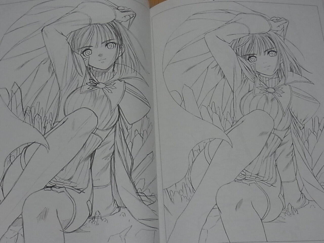 Tony Tony's Line ART works Vol.1 Shining Series 