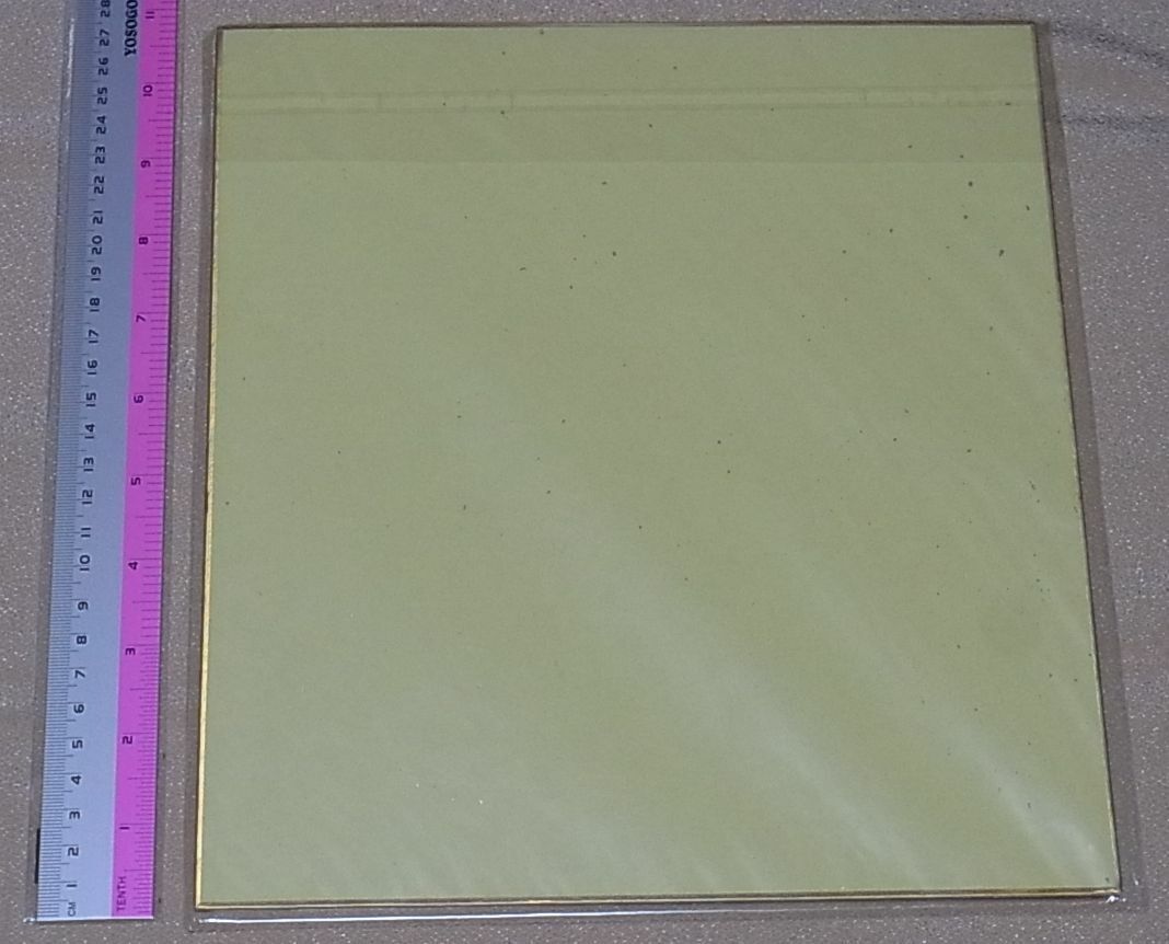 Shingo Adachi Animation Galileidonna Print Shikishi Art Board 26x23 cm 