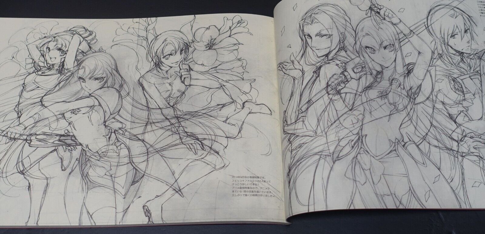 Saori Toyota The Legend of the Legendary Heroes Character Designer's Pen Drawing 
