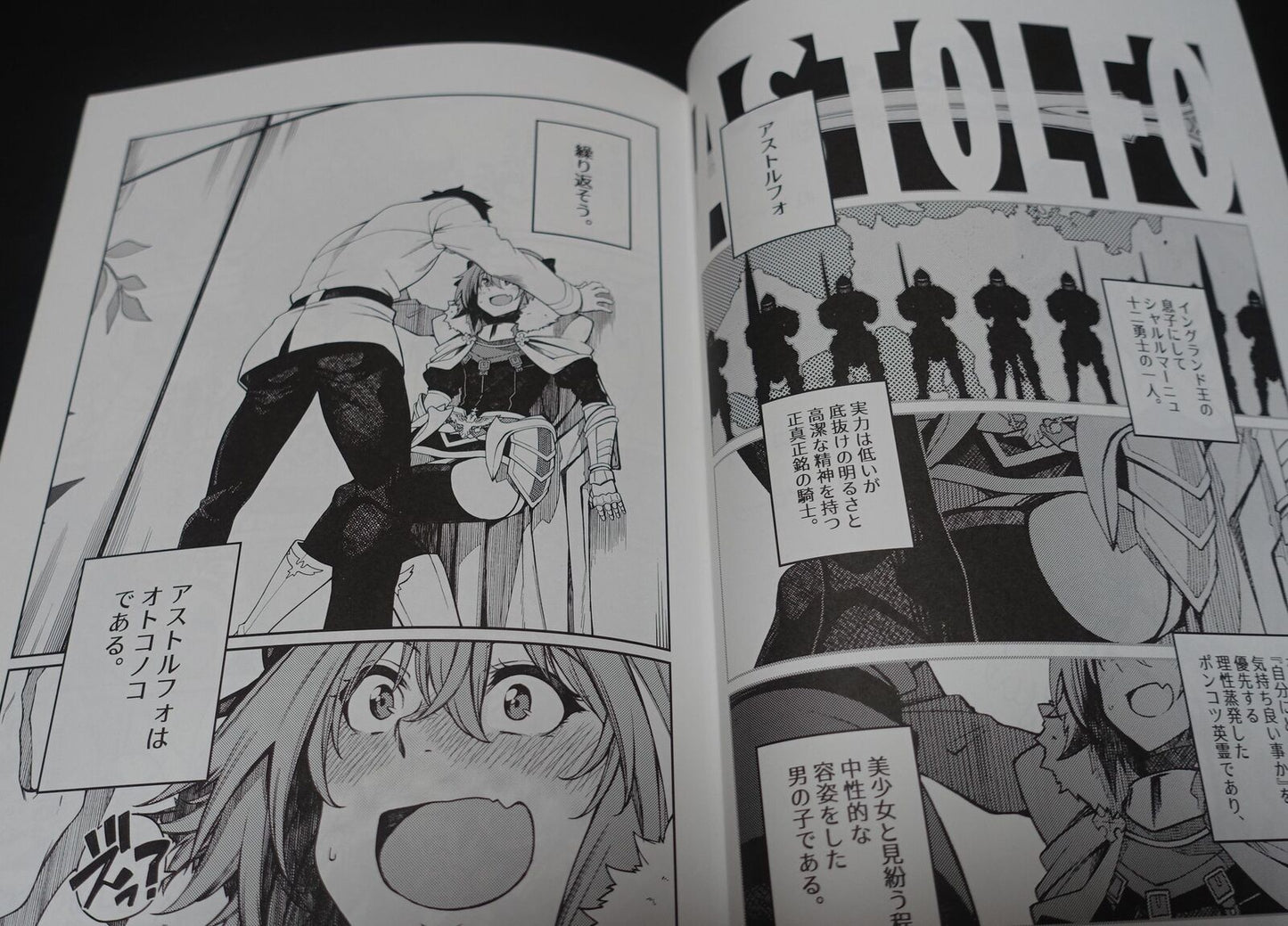 P.L.T works Hiroki Orihara Fate Grand Order FGO ASTOLFO Fan Made Comic Astolfo 