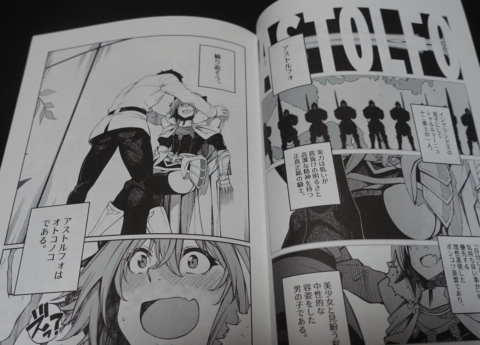 P.L.T works Hiroki Orihara Fate Grand Order FGO ASTOLFO Fan Made Comic Astolfo 