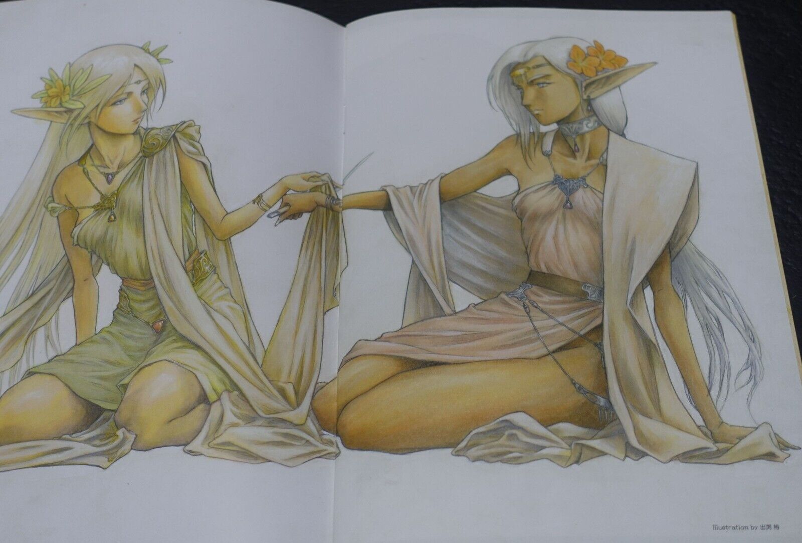 Record of Lodoss War Deedlit in Wonder Labyrinth Special Book 