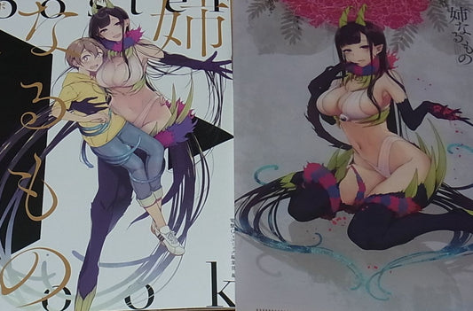 Pochi Iida Ane Naru Mono Poster Book with Clear File 