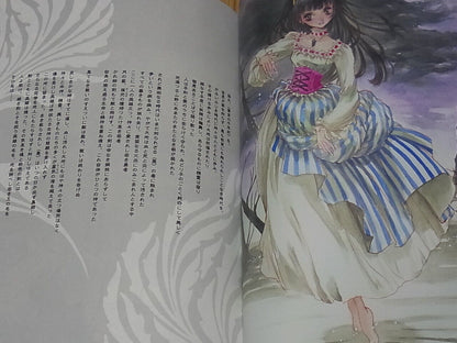 Strawberry Flash Mutsumi Inomata Alexion Saga Illustration & Novel Book 