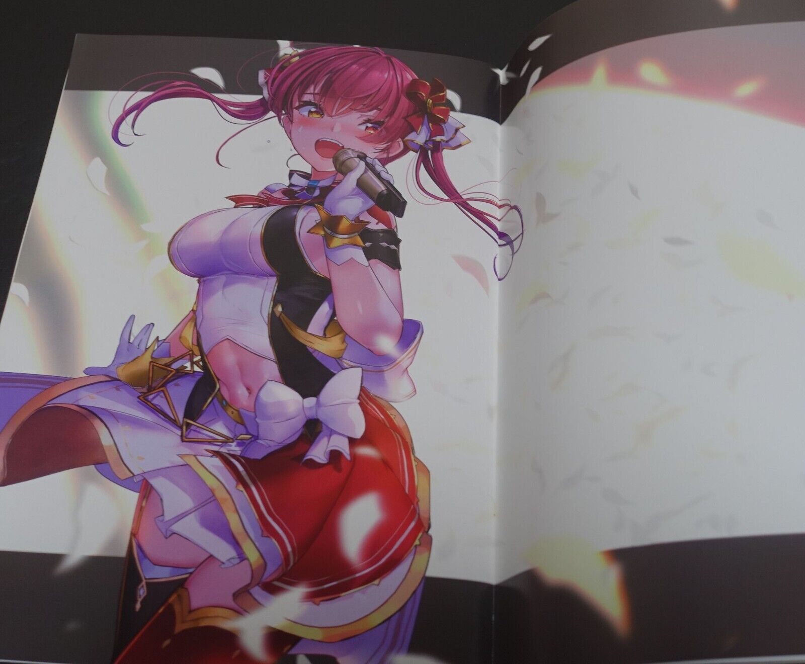AkasaAi SEA SIDE Houshou Marine Designer's Art Book Holonium S Hololive 