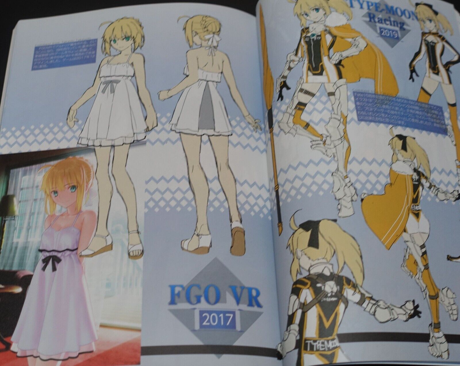 Takehouki Katatsuki Kouhon & FGO Avalon le Fae Synopsys Scenario Script Book Set 