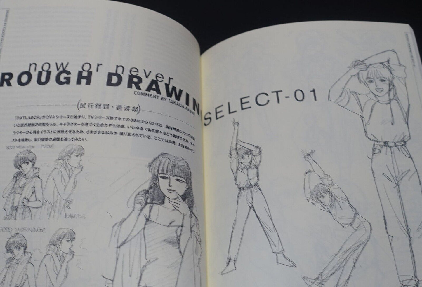 Akemi Takada PATLABOR ILLUSTRATION WORKS BOOK DRAWING now or never 