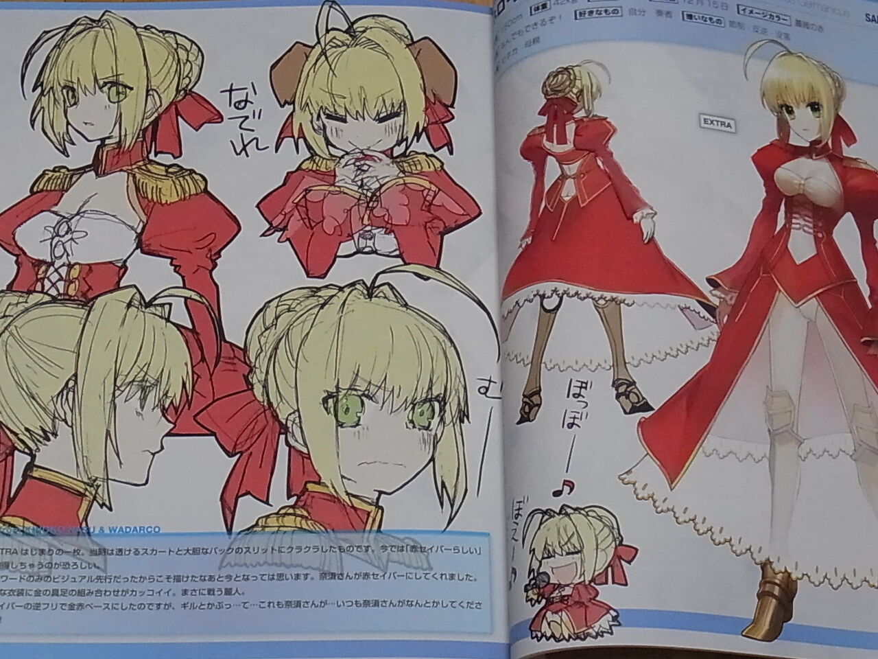 TYPE-MOON Fate EXTRA material Arco Wada 