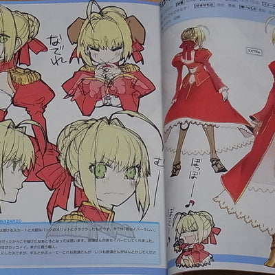 TYPE-MOON Fate EXTRA material Arco Wada 
