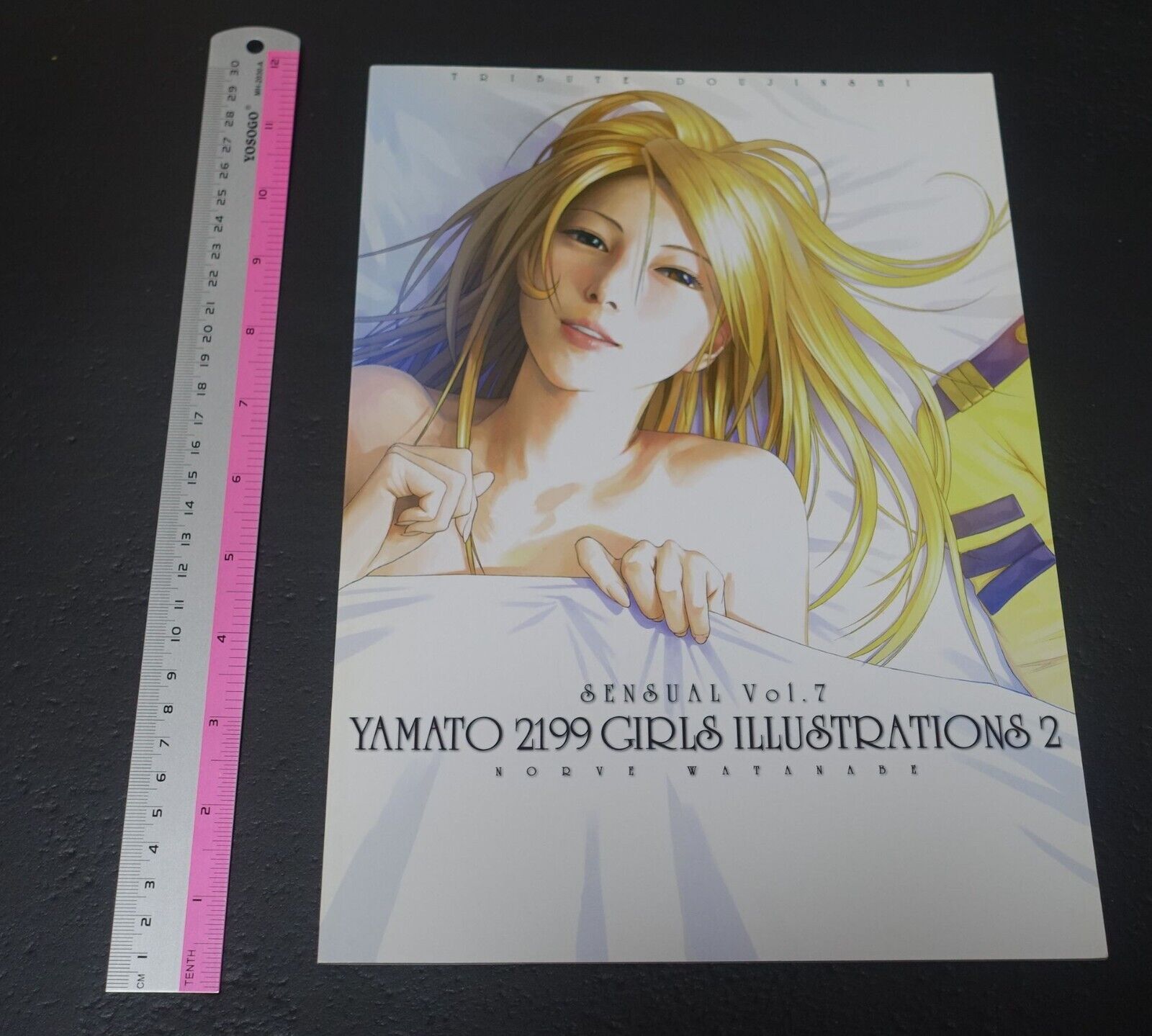 Castlism STAR BLAZERS Fan Art Book YAMATO 2199 GIRLS ILLUSTRATIONS 2 