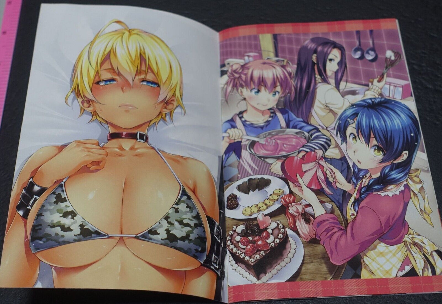 Food Wars! Shokugeki no Soma Mini Color Art Book 