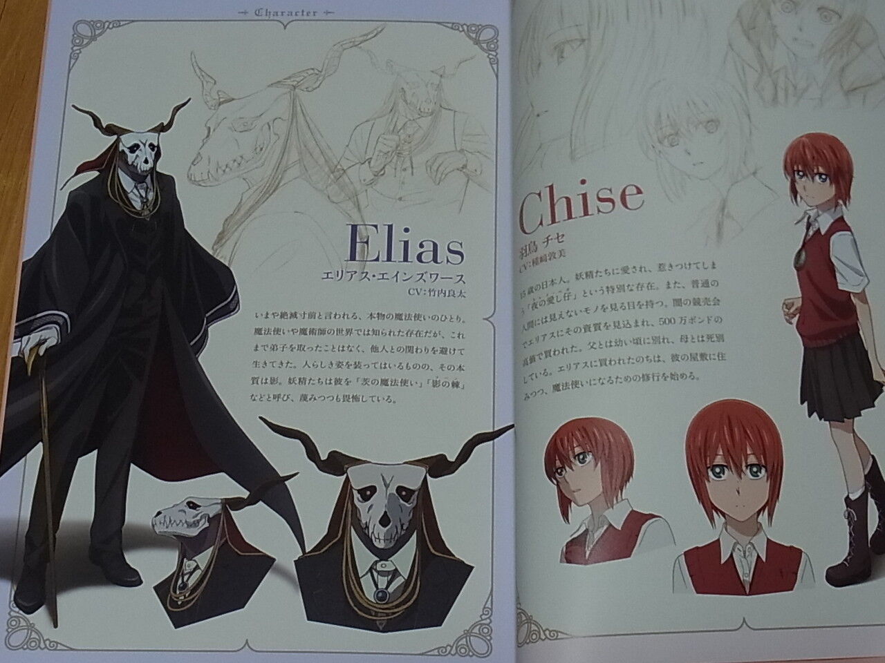 WIT STUDIO The Ancient Magus Bride Mahou Tsukai no Yome TV Animation Works 1st 