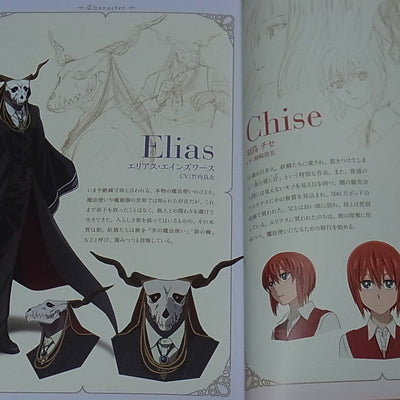 WIT STUDIO The Ancient Magus Bride Mahou Tsukai no Yome TV Animation Works 1st 