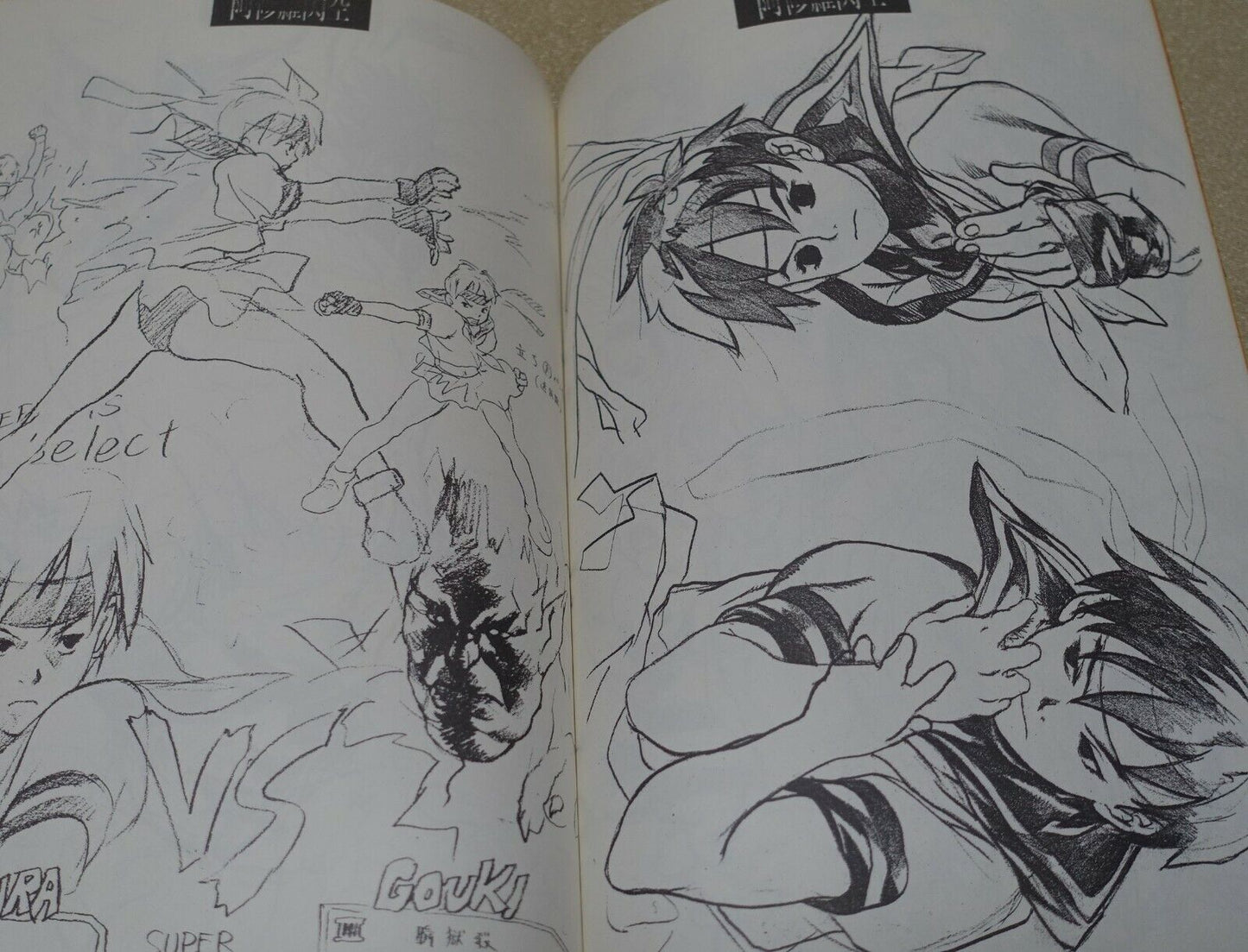 Kanoe Yushi Street Fighter Fan Art Book Street Fighter and Capcom Characters etc 