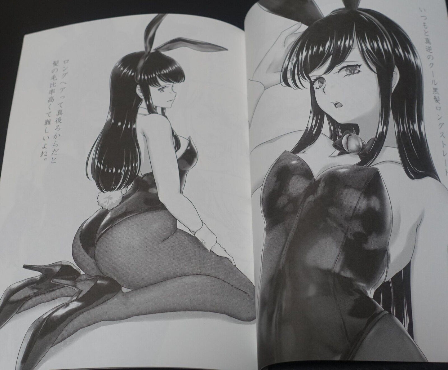 Ekibyou Usotetsugaku Original Bunny Girls Art Book Another Bunny Scribbles C102 