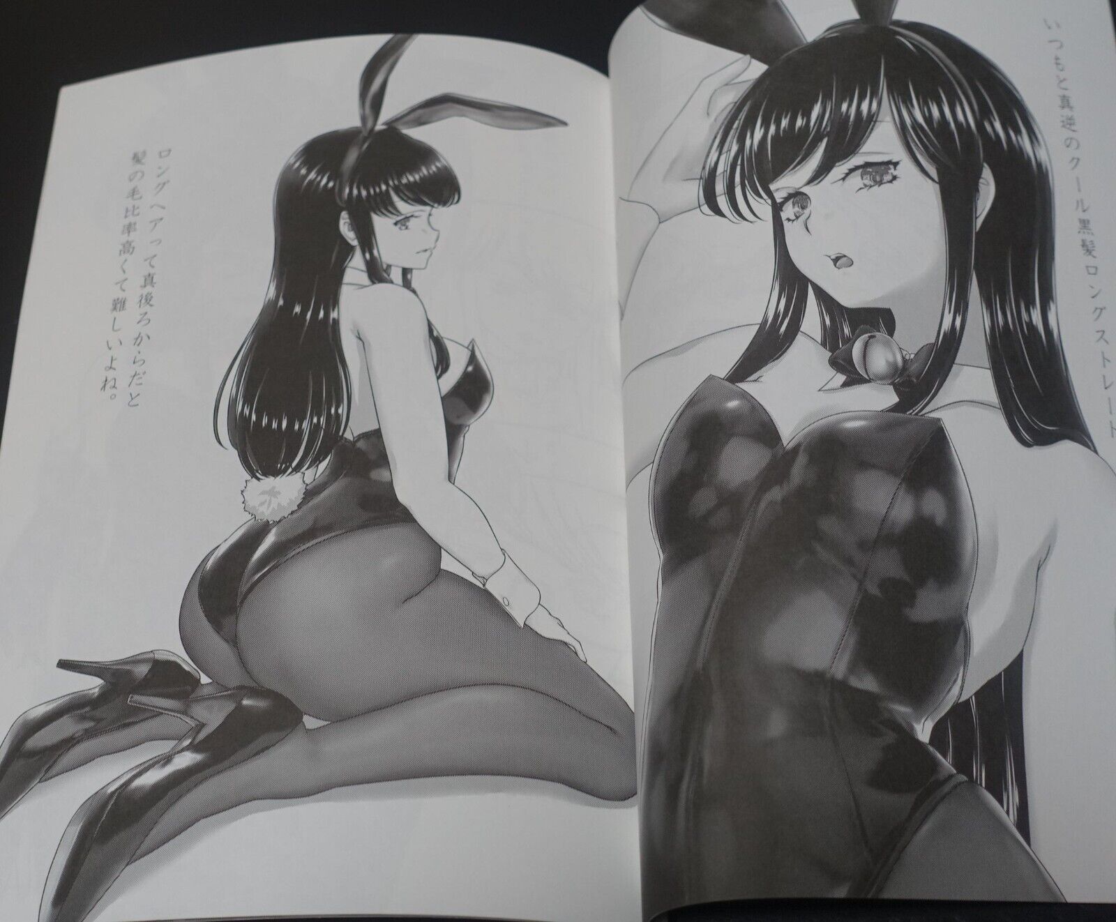 Ekibyou Usotetsugaku Original Bunny Girls Art Book Another Bunny Scribbles C102 