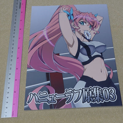 Aminendo Senki Zesshou Symphogear Key Frame Art Collection Book Hanyu Rough 03 