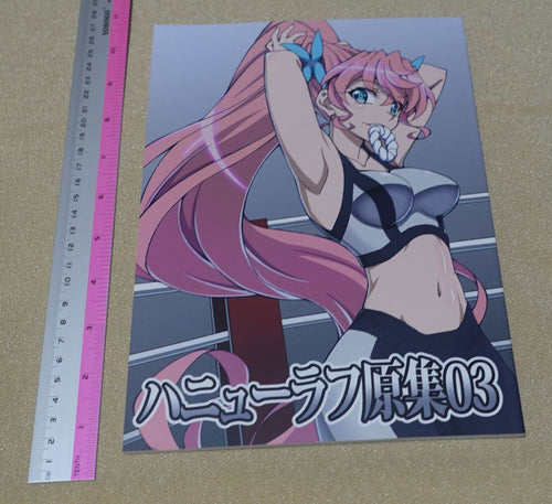 Aminendo Senki Zesshou Symphogear Key Frame Art Collection Book Hanyu Rough 03 