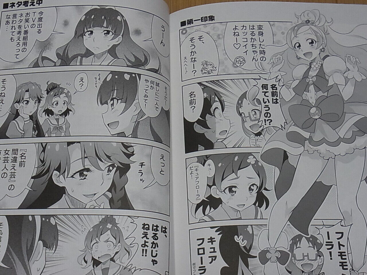 Metamorphose Princess Precure Fan Doujinshi Tokyo Turimeland 18 