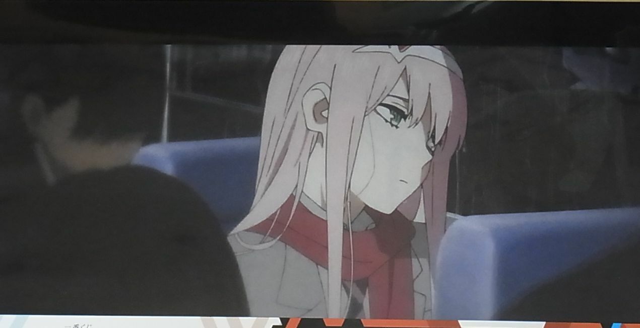 Darling in the Franxx Lottery A4 Size Clear Poster 20 pieces Set 