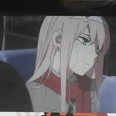 Darling in the Franxx Lottery A4 Size Clear Poster 20 pieces Set 