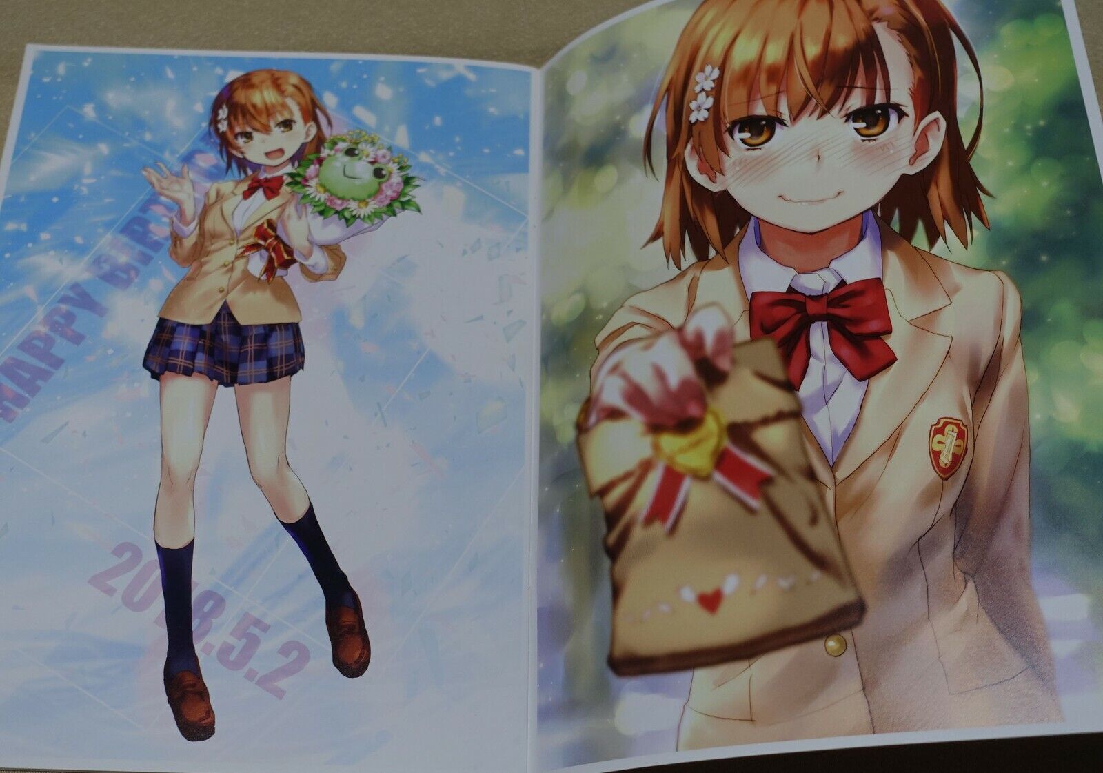 raika9 A Certain Scientific Railgun Fan Art Book Mikasa Mikoto Photo Book8 