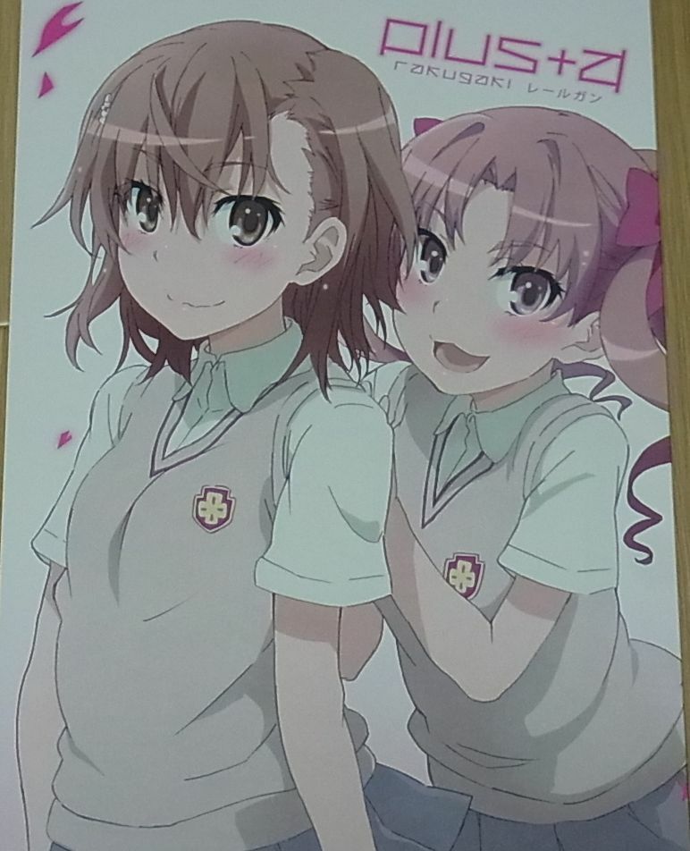 Yataneko A Certain Scientific Railgun Animation Staff's Fan Art Book plus + ? 